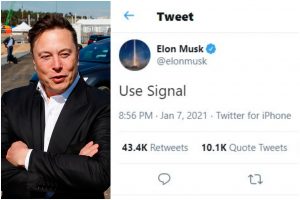 Elon Musk Tweet