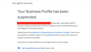 Your Business Profile has been suspended notification email by Google.